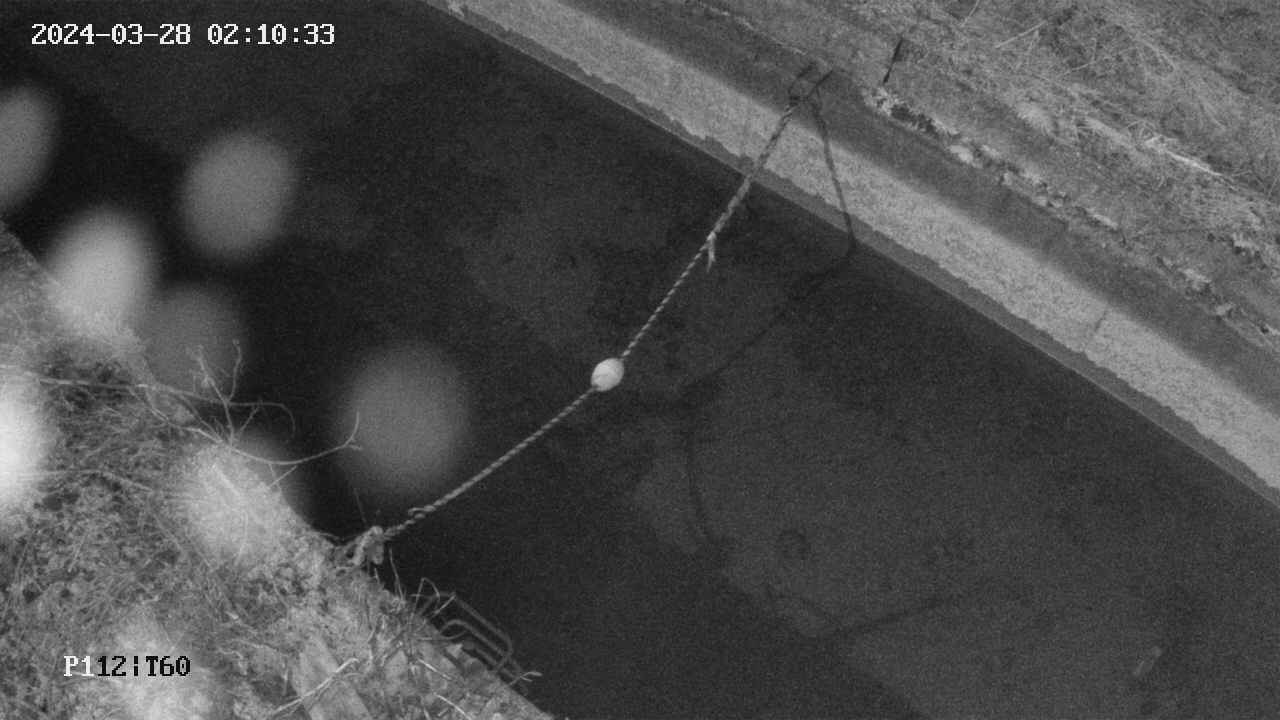 area10-20240328021034.jpg