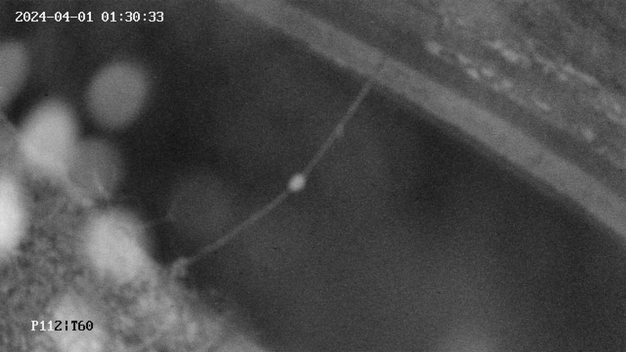 area10-20240401013034.jpg