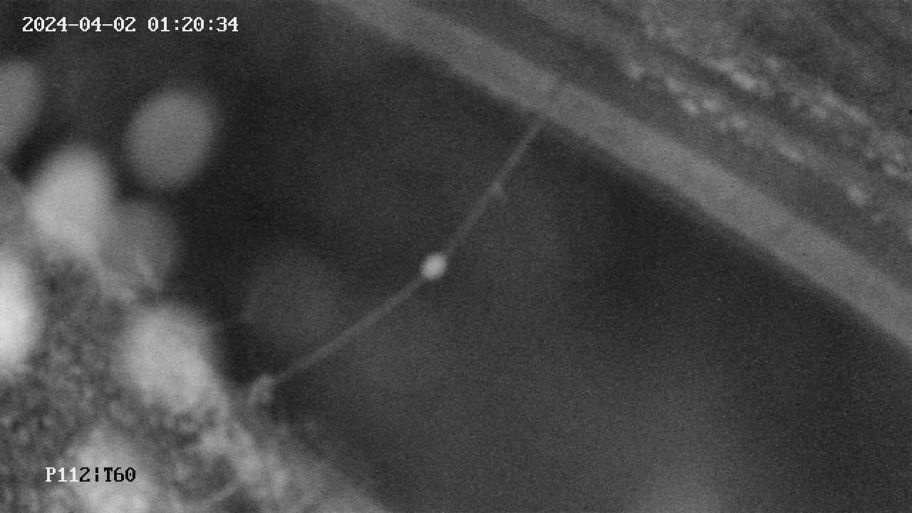 area10-20240402012034.jpg