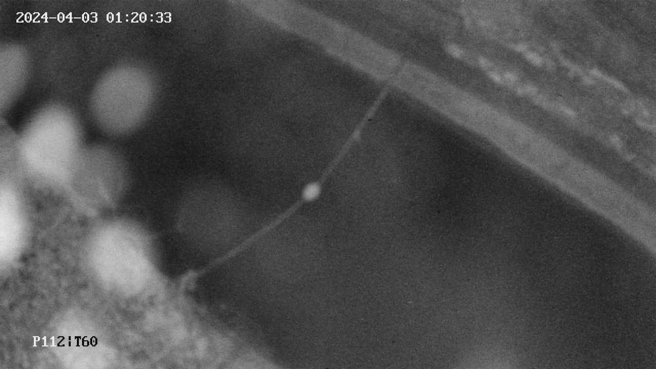 area10-20240403012034.jpg