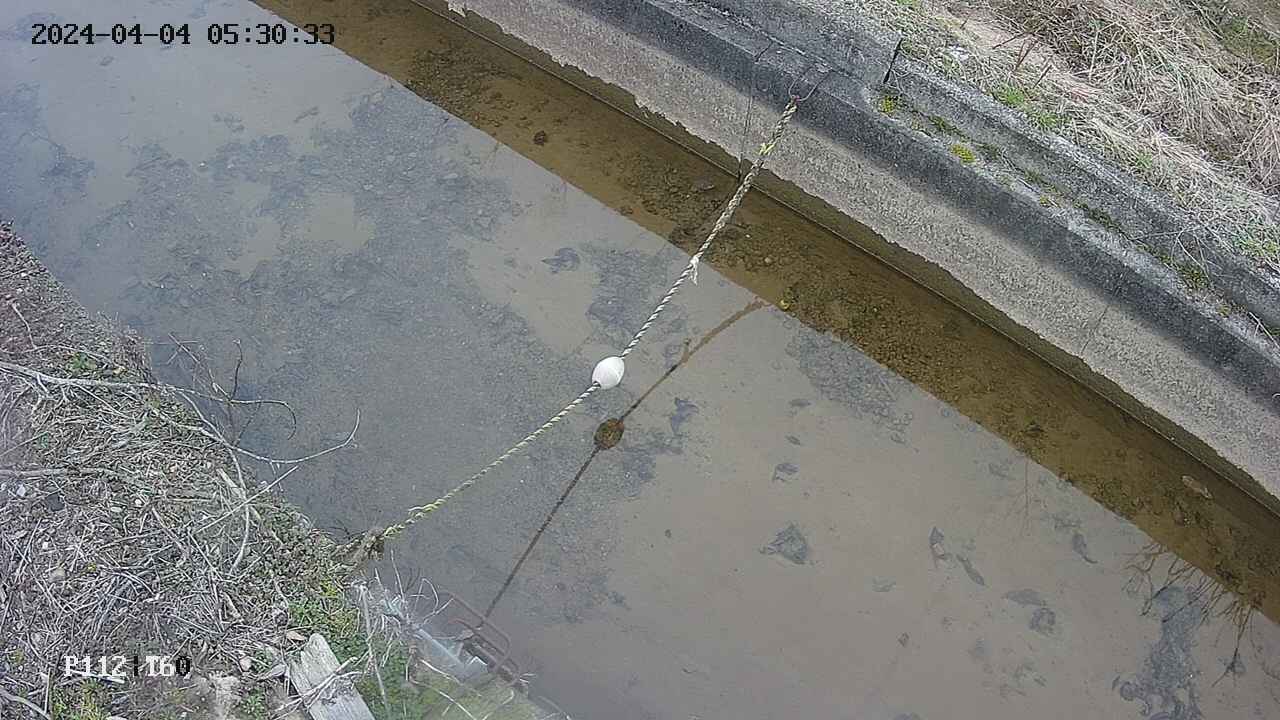 area10-20240404053034.jpg