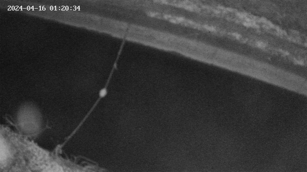 area10-20240416012035.jpg