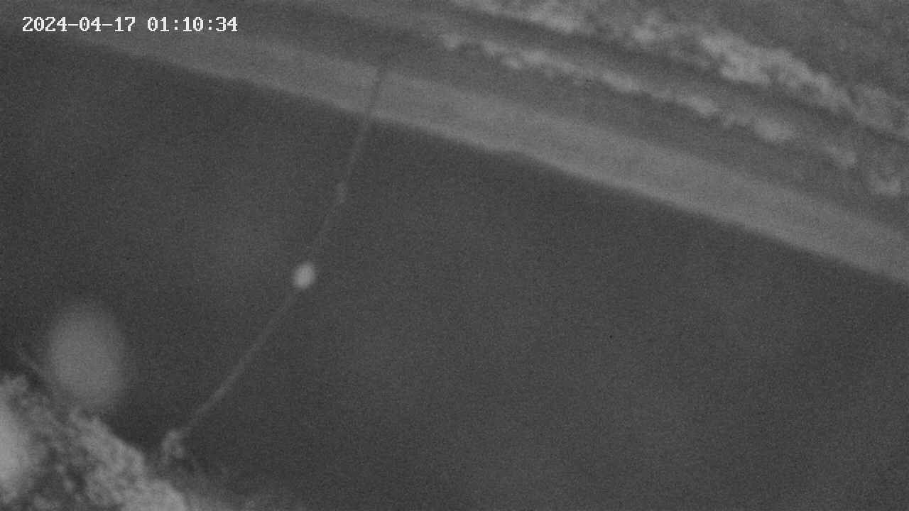 area10-20240417011035.jpg