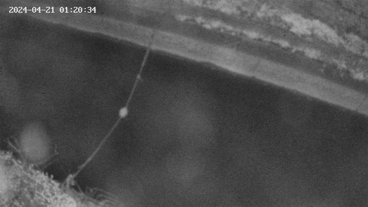 area10-20240421012034.jpg