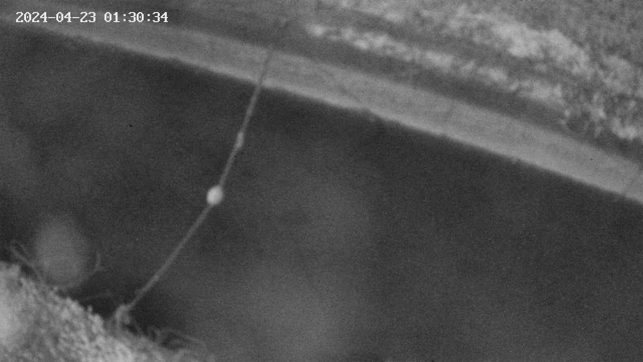 area10-20240423013035.jpg
