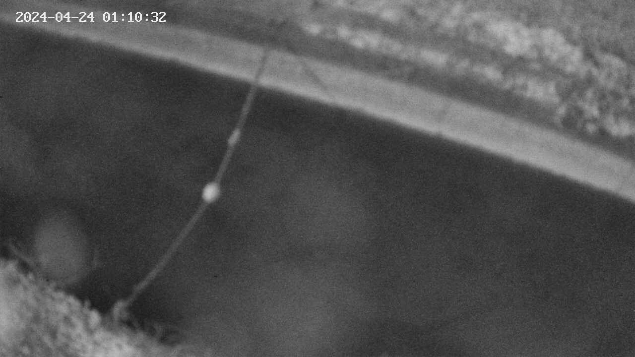 area10-20240424011033.jpg