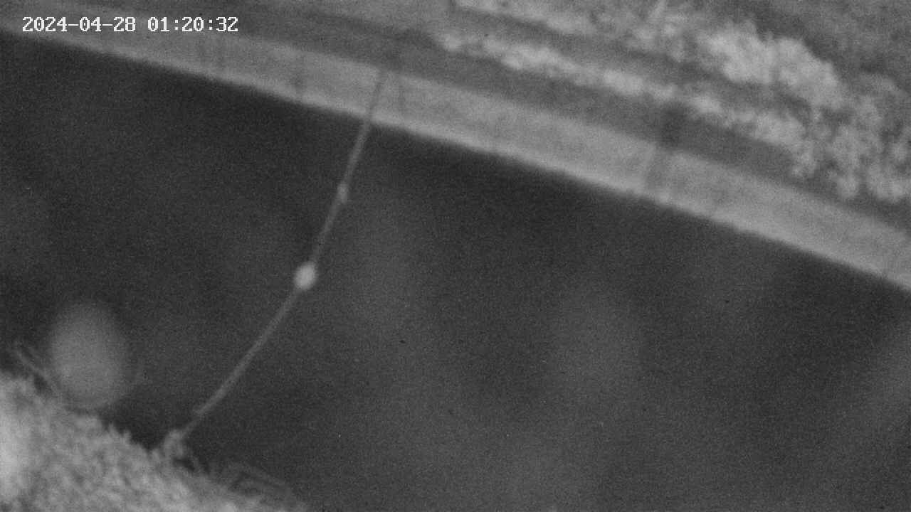 area10-20240428012034.jpg