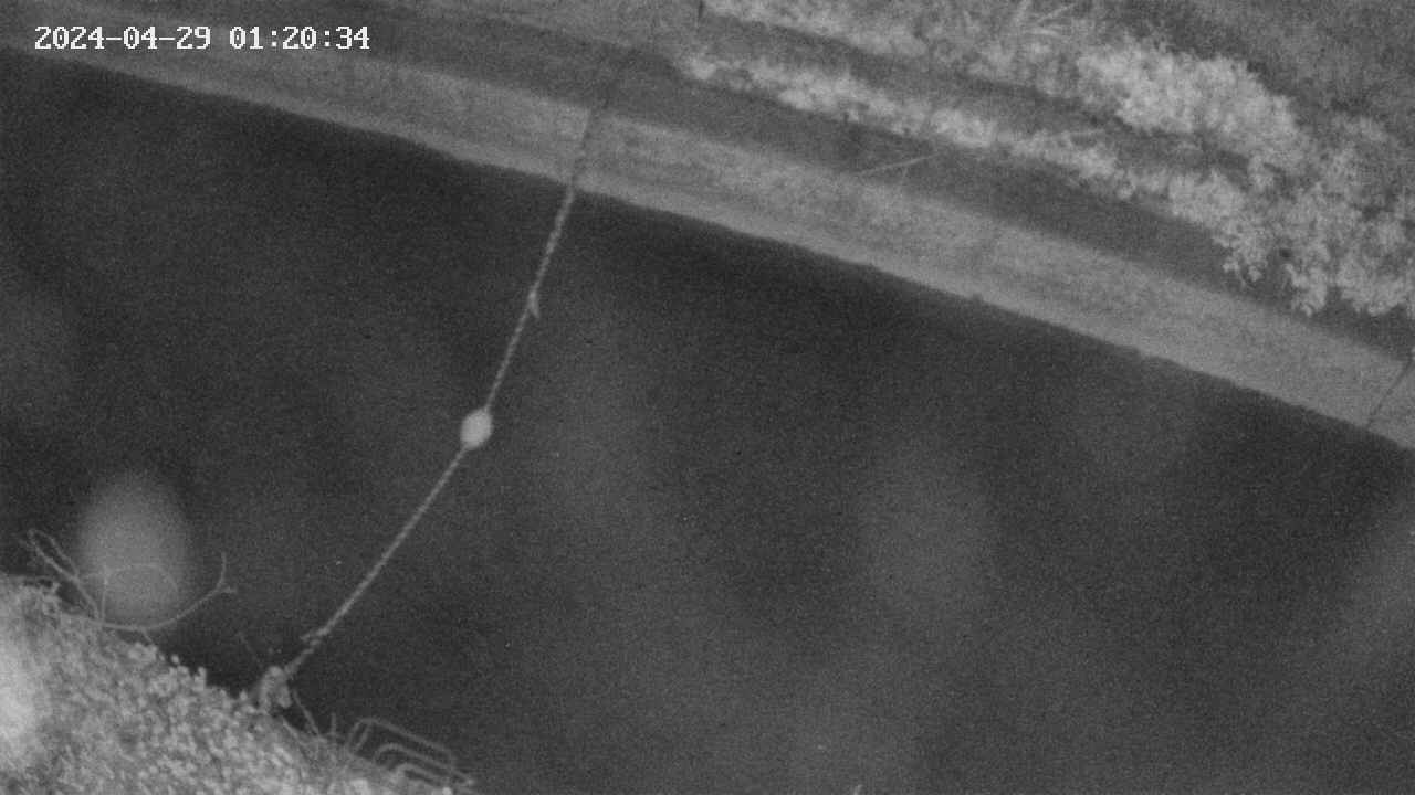 area10-20240429012035.jpg
