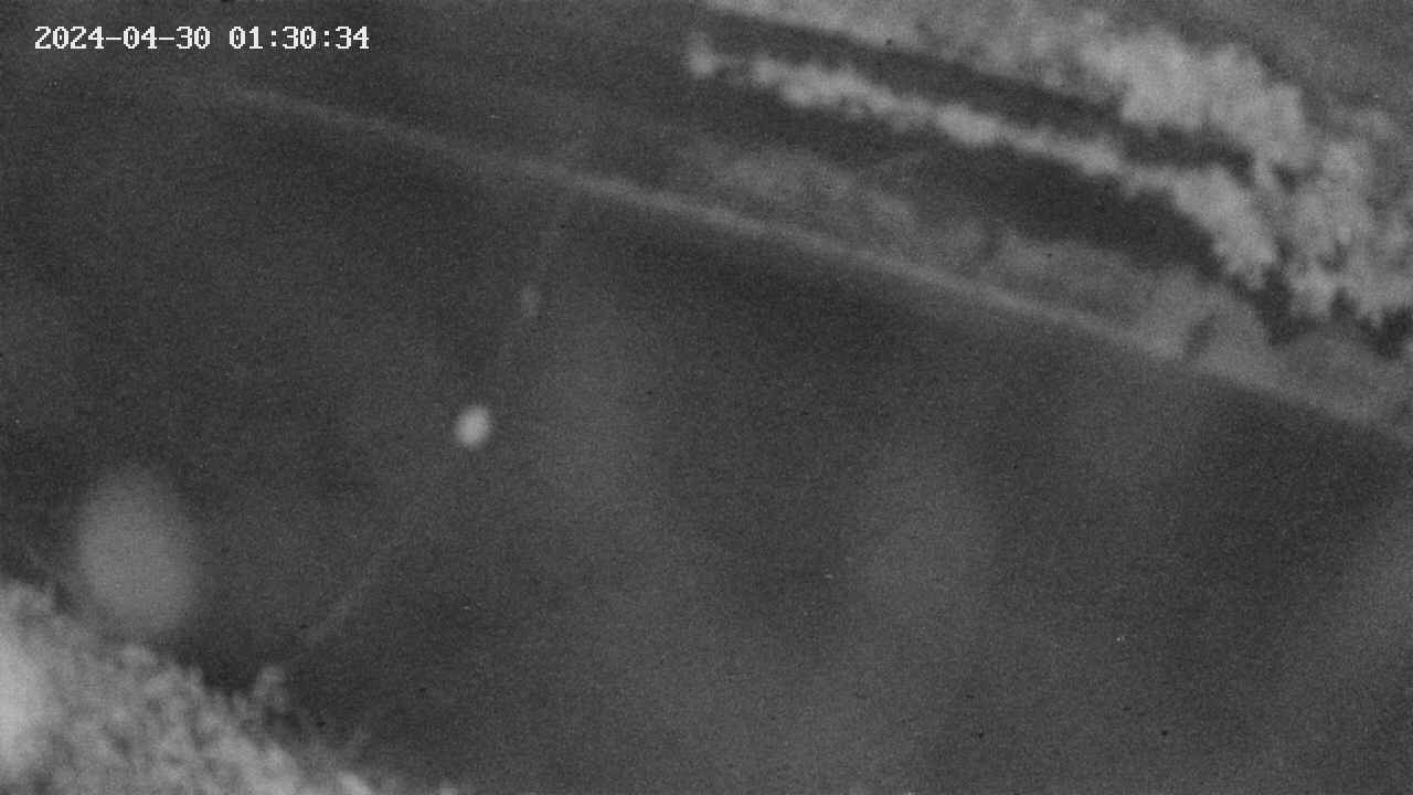 area10-20240430013035.jpg