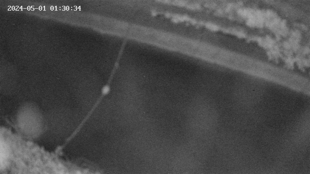 area10-20240501013036.jpg