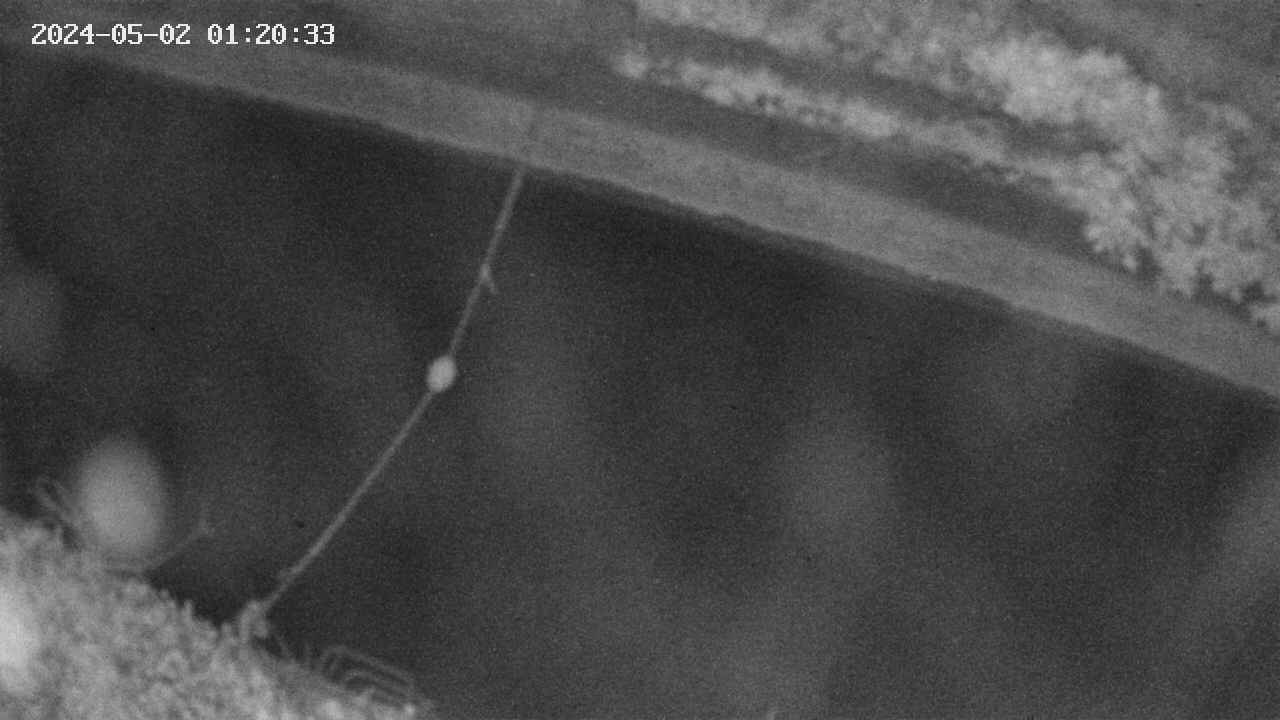 area10-20240502012034.jpg