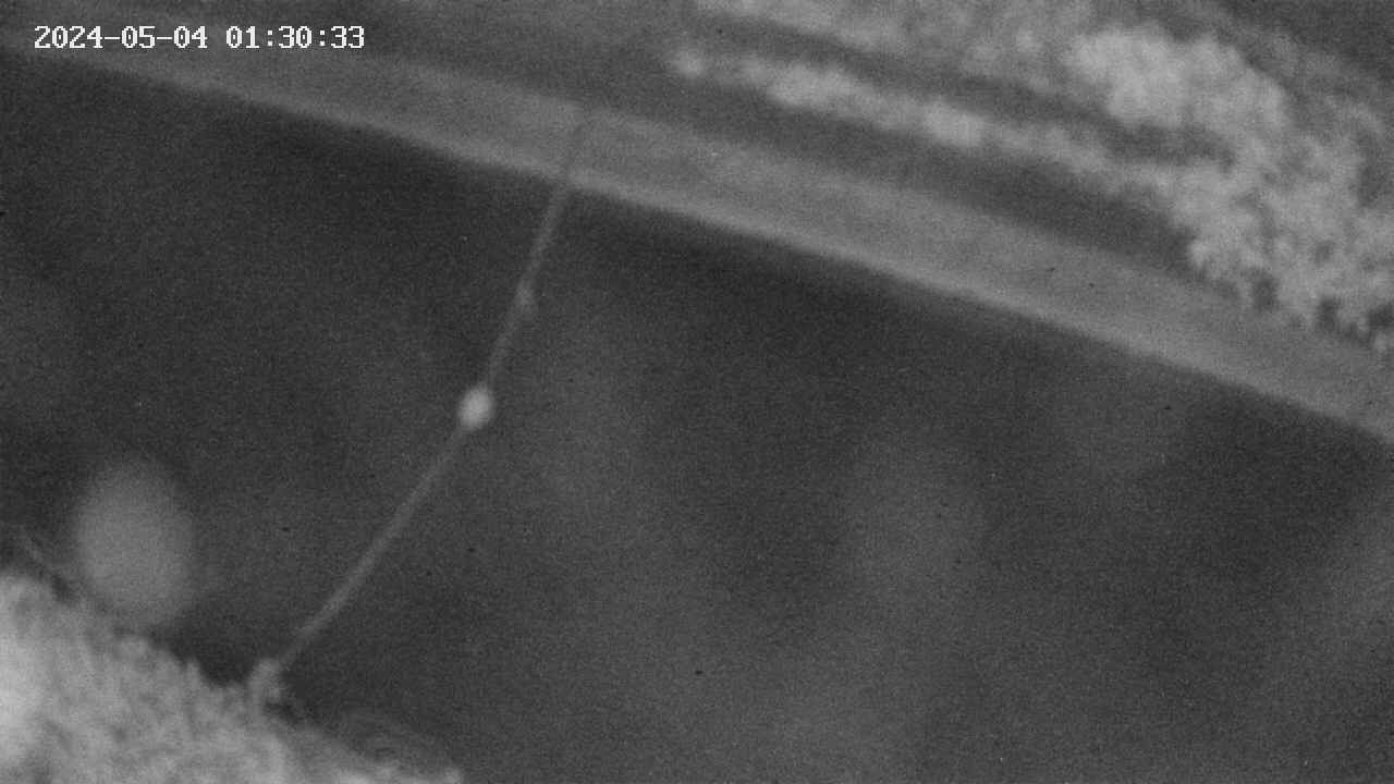 area10-20240504013034.jpg