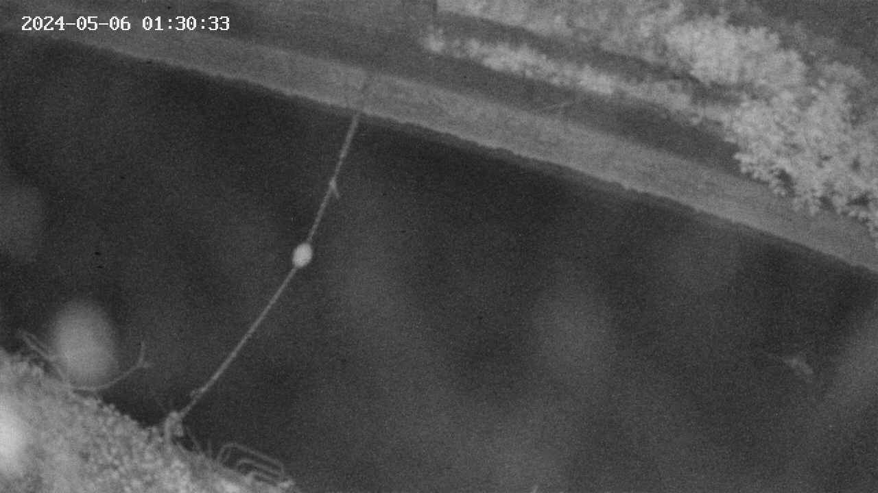 area10-20240506013034.jpg