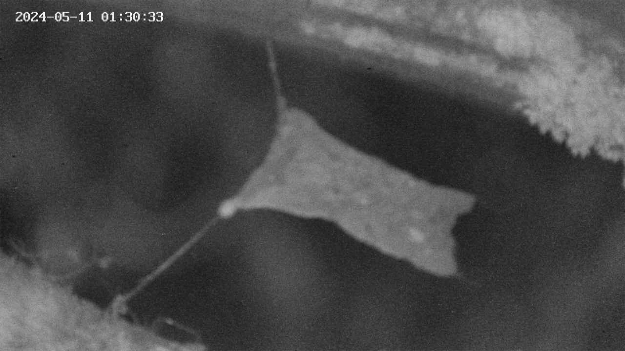 area10-20240511013034.jpg