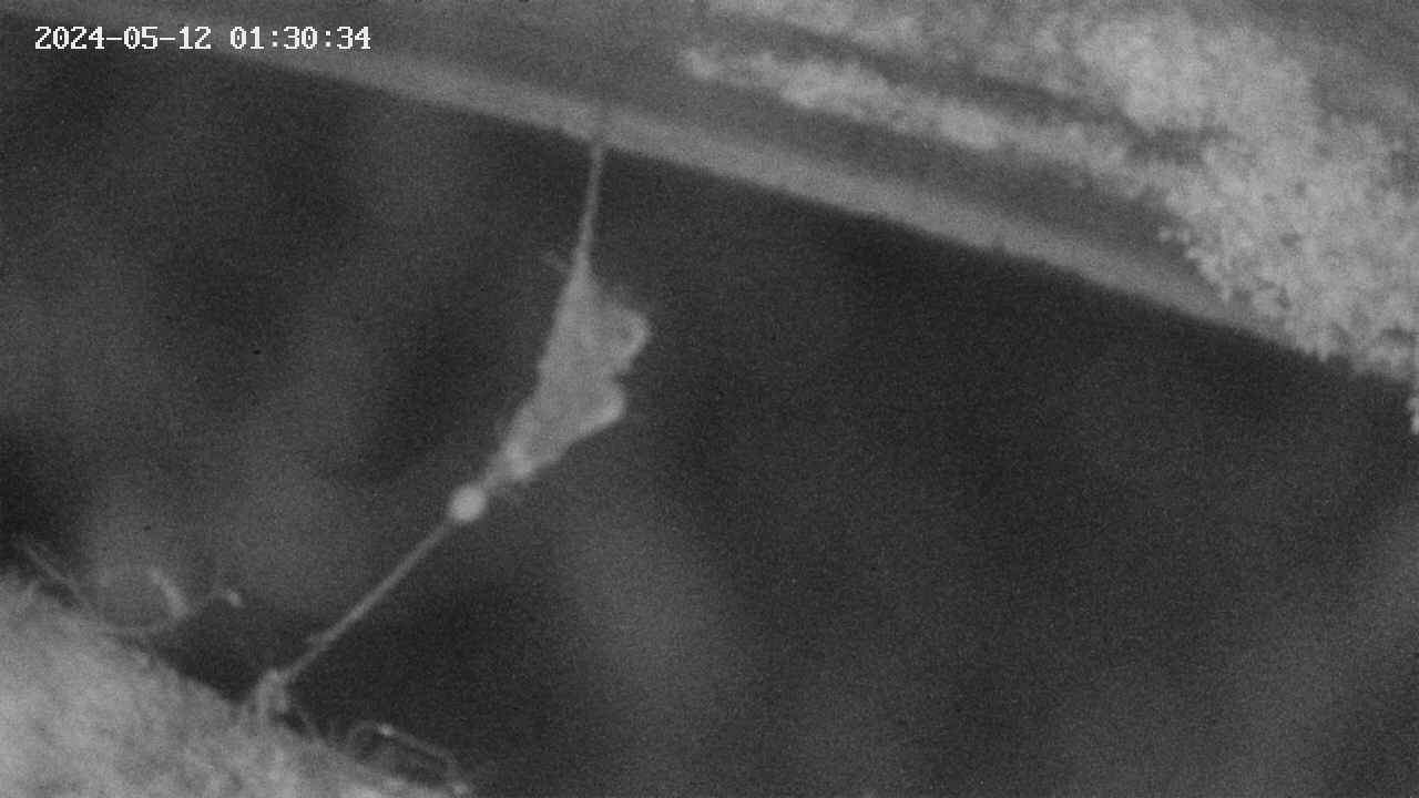 area10-20240512013036.jpg