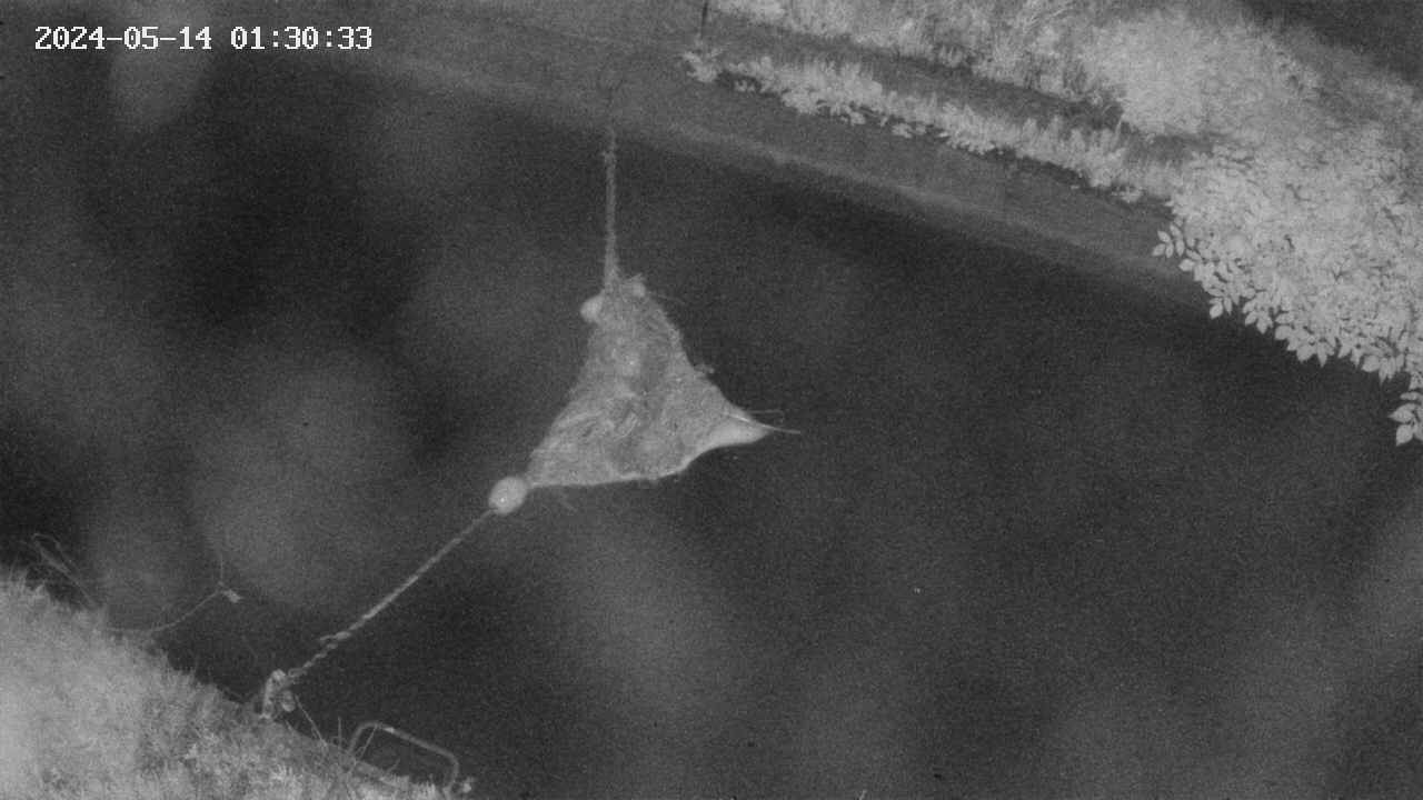 area10-20240514013035.jpg