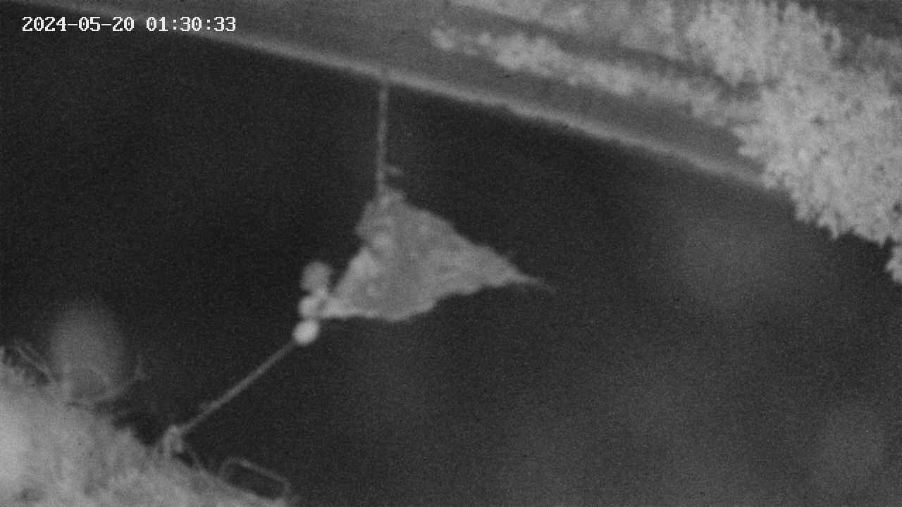 area10-20240520013033.jpg