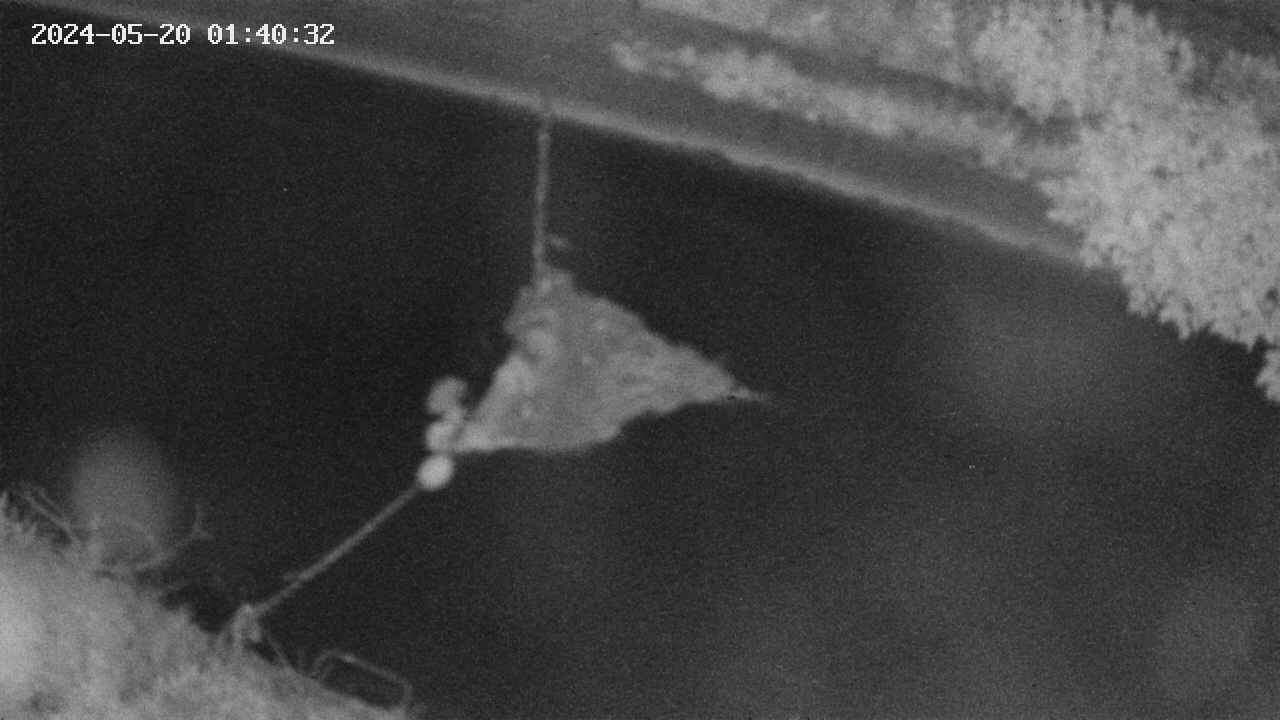 area10-20240520014033.jpg