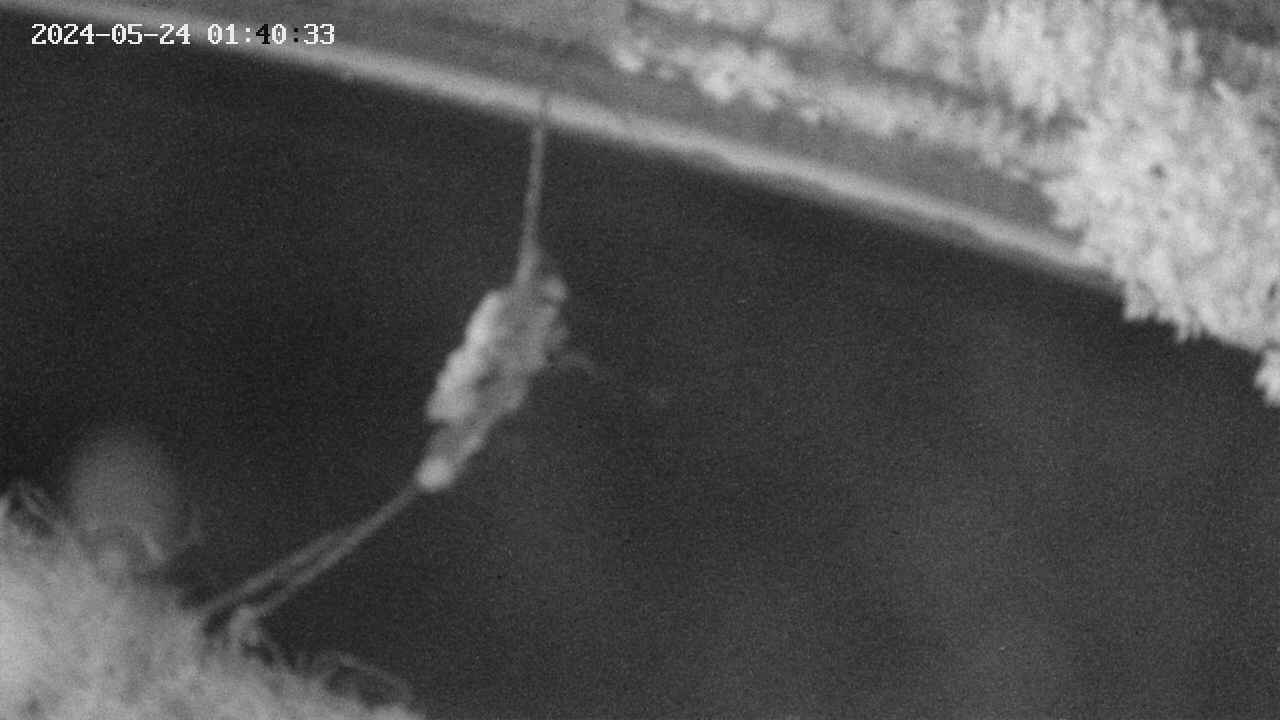 area10-20240524014034.jpg