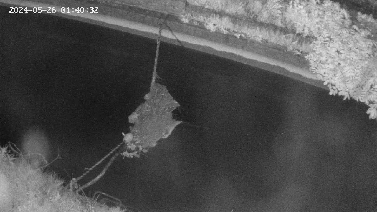 area10-20240526014033.jpg