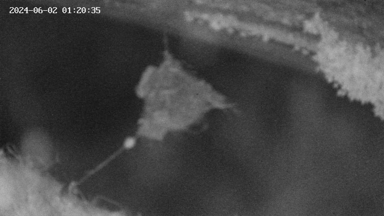 area10-20240602012036.jpg