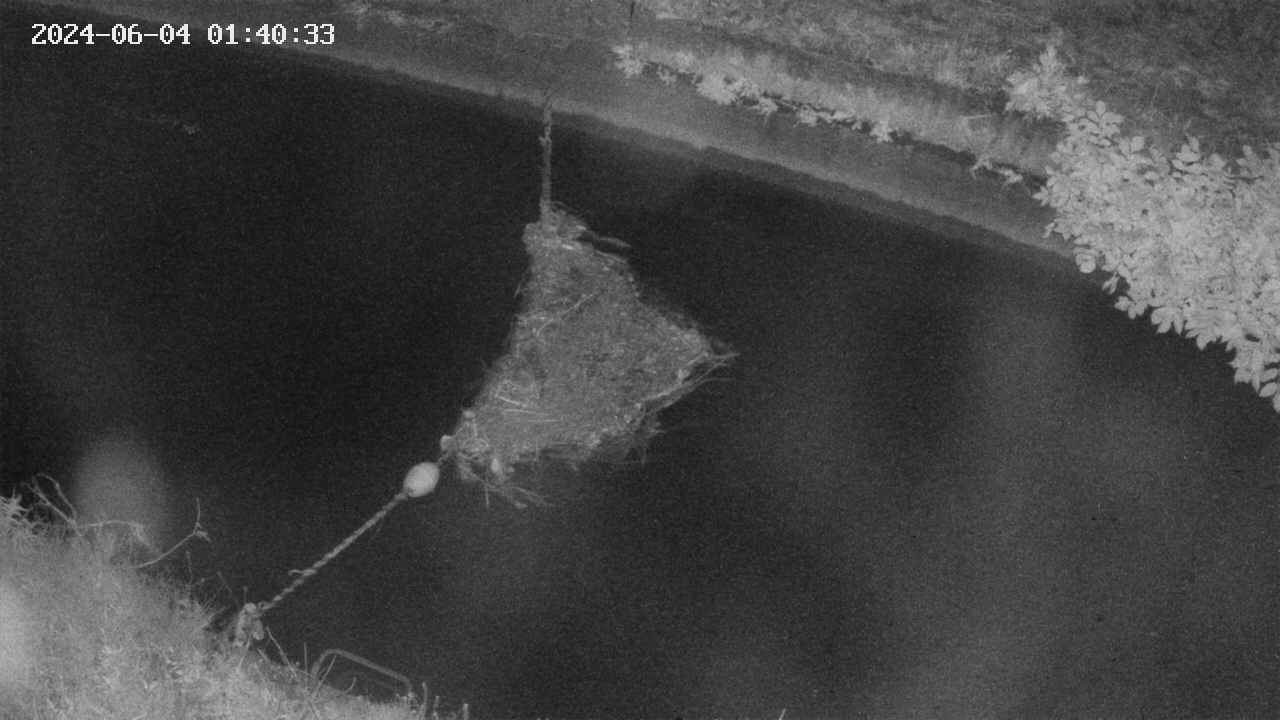 area10-20240604014034.jpg
