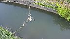 area10-20240606050035.jpg