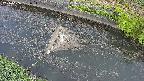 area10-20240606051036.jpg