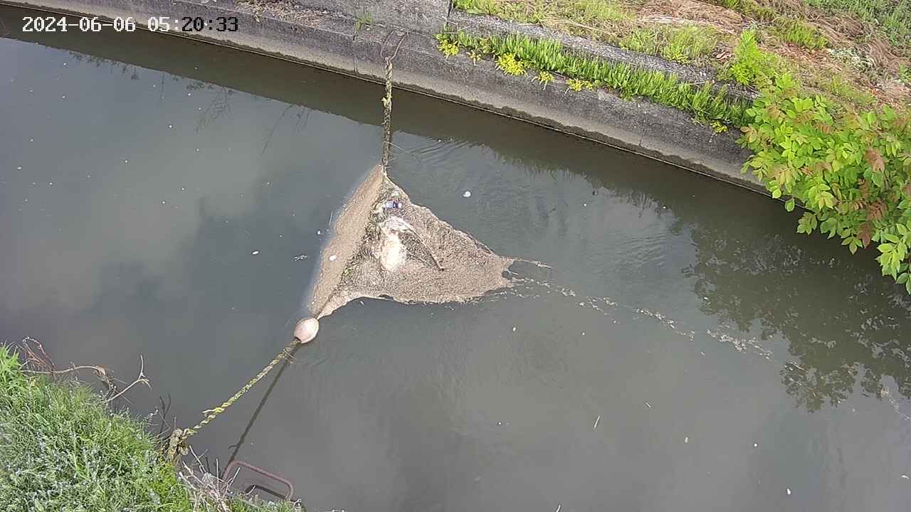 area10-20240606052034.jpg