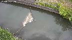 area10-20240606095034.jpg