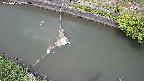 area10-20240606113035.jpg