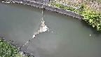 area10-20240606115035.jpg