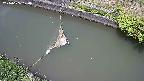 area10-20240606120033.jpg