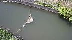 area10-20240606121035.jpg
