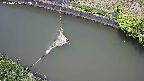 area10-20240606122036.jpg