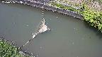 area10-20240606123041.jpg