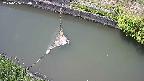 area10-20240606130036.jpg