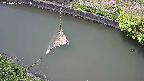 area10-20240606131035.jpg