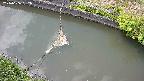 area10-20240606132034.jpg