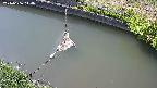 area10-20240606144035.jpg