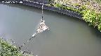 area10-20240606150035.jpg