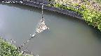area10-20240606152035.jpg