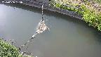 area10-20240606155034.jpg