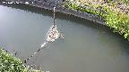 area10-20240606160035.jpg