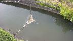 area10-20240606171035.jpg