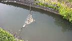 area10-20240606172035.jpg