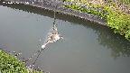 area10-20240606185034.jpg