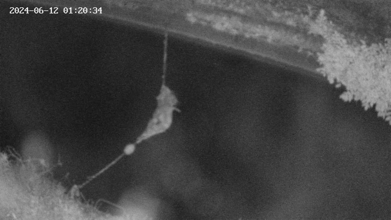 area10-20240612012035.jpg