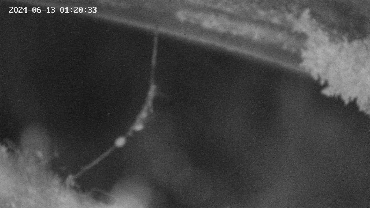 area10-20240613012034.jpg