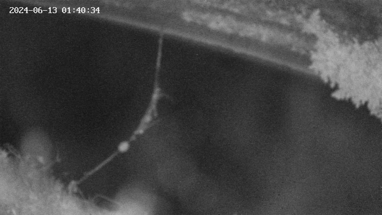 area10-20240613014035.jpg